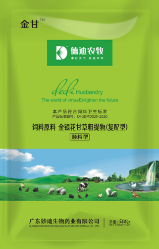 德迪 德迪
