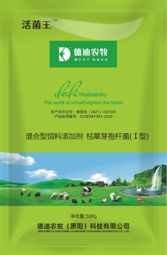 德迪 德迪